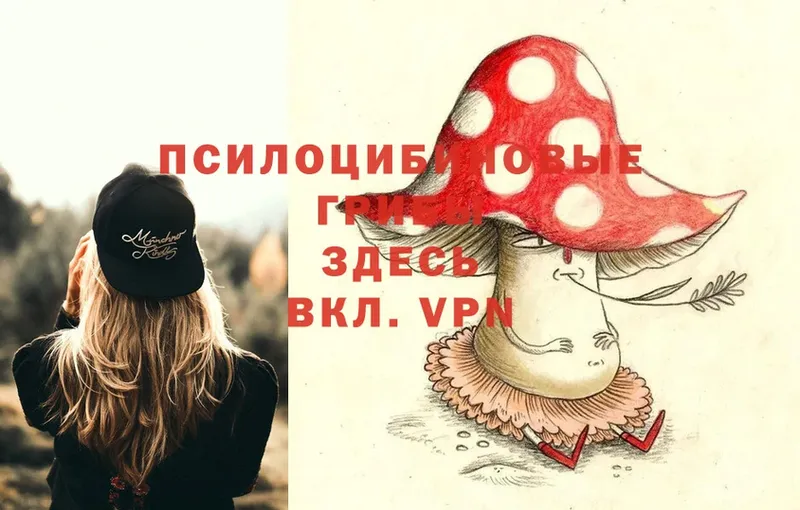 площадка клад  Горняк  Галлюциногенные грибы Magic Shrooms 